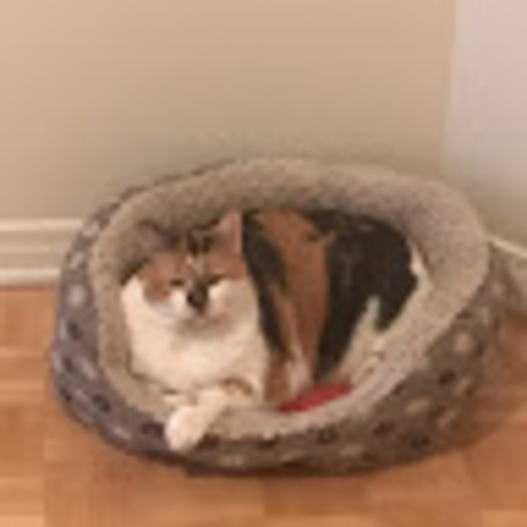 Meet your Posher, Jo - Picture 1 of 1